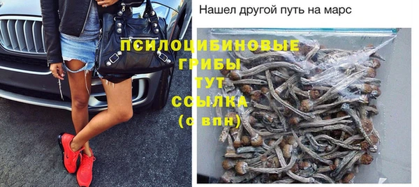 PSILOCYBIN Бугульма