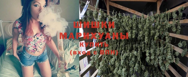 прущий лед Богданович