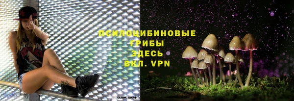 прущий лед Богданович