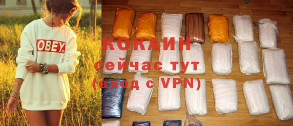 прущий лед Богданович