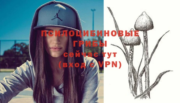 мескалин Бородино