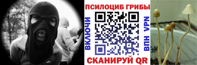 Галлюциногенные грибы прущие грибы  ОМГ ОМГ ONION  Гудермес 